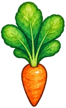 Carrots — Harvest