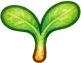 Turnips — Stage 2